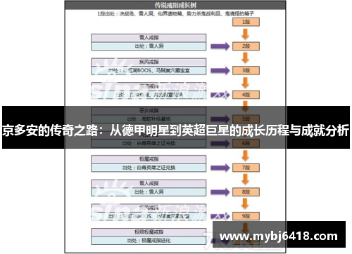 京多安的传奇之路：从德甲明星到英超巨星的成长历程与成就分析